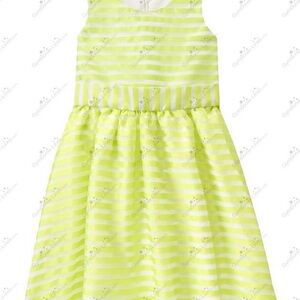 Gymboree Organdy Striped Dress  Stripe Dress